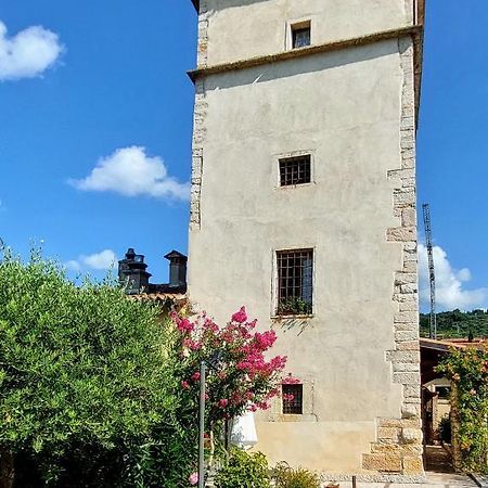 Azienda Agrituristica Corteforte ฟูมาเน ภายนอก รูปภาพ