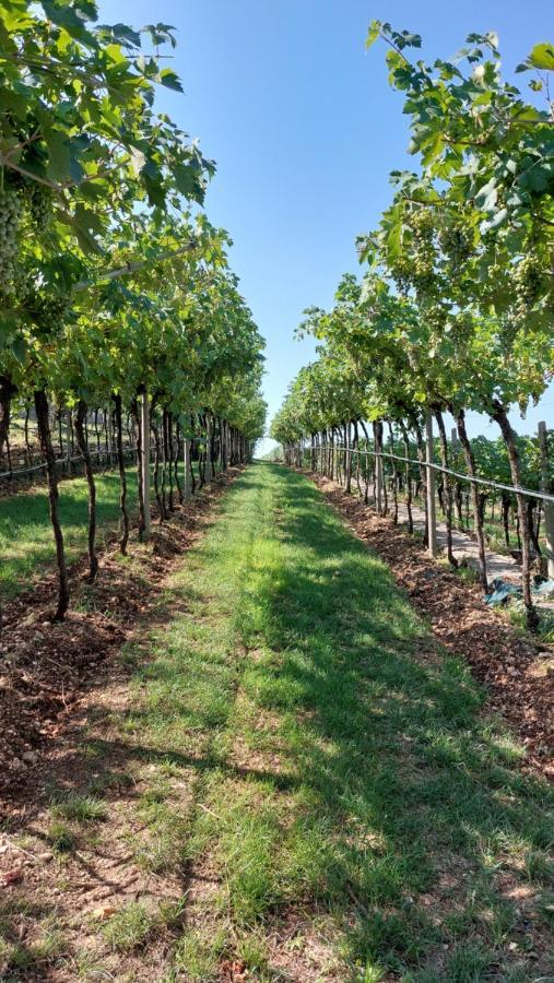 Azienda Agrituristica Corteforte ฟูมาเน ภายนอก รูปภาพ