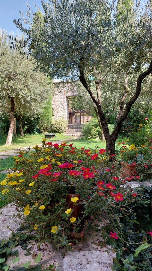 Azienda Agrituristica Corteforte ฟูมาเน ภายนอก รูปภาพ