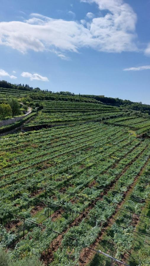 Azienda Agrituristica Corteforte ฟูมาเน ภายนอก รูปภาพ