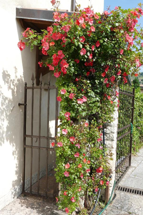 Azienda Agrituristica Corteforte ฟูมาเน ภายนอก รูปภาพ