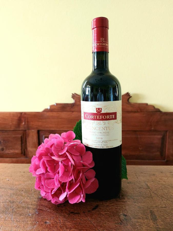 Azienda Agrituristica Corteforte ฟูมาเน ภายนอก รูปภาพ