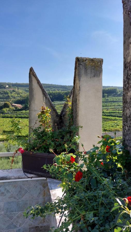 Azienda Agrituristica Corteforte ฟูมาเน ภายนอก รูปภาพ