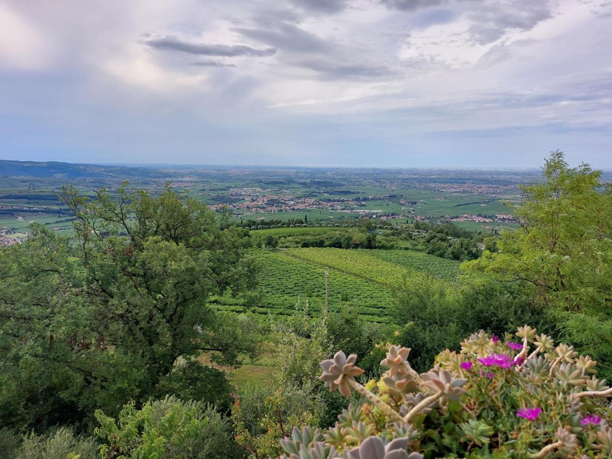 Azienda Agrituristica Corteforte ฟูมาเน ภายนอก รูปภาพ