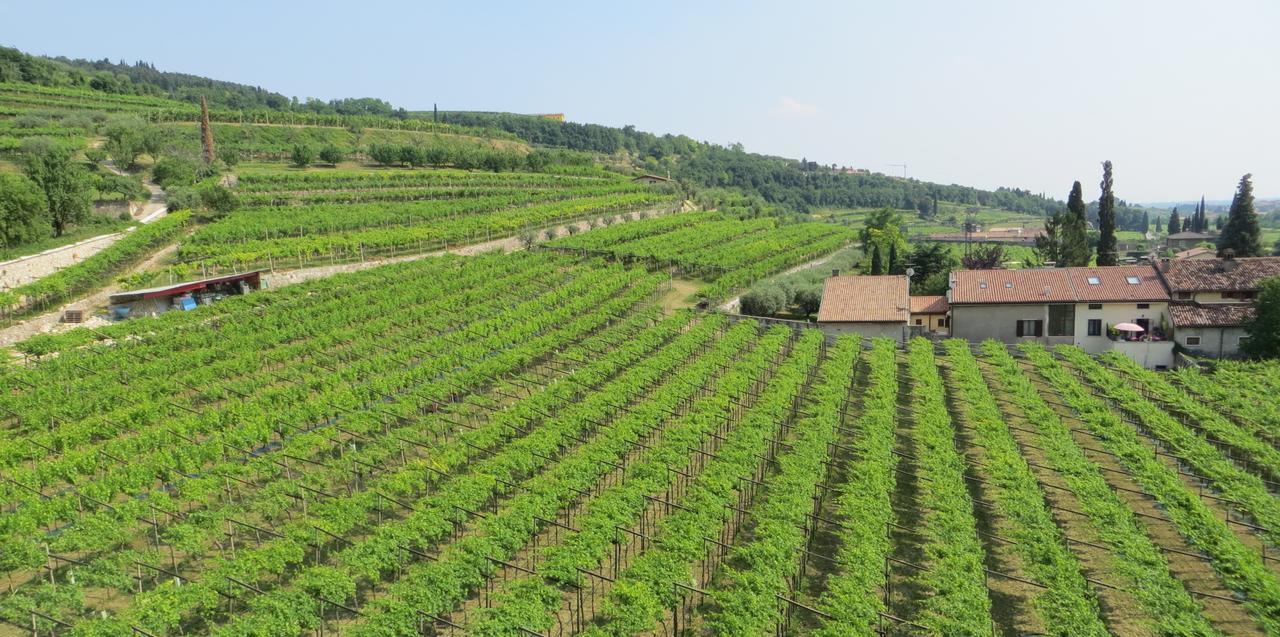 Azienda Agrituristica Corteforte ฟูมาเน ภายนอก รูปภาพ